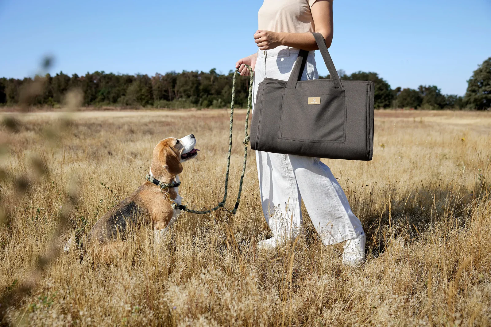 Τσάντα για χαλάκι σκύλου - Nobo - Image 9