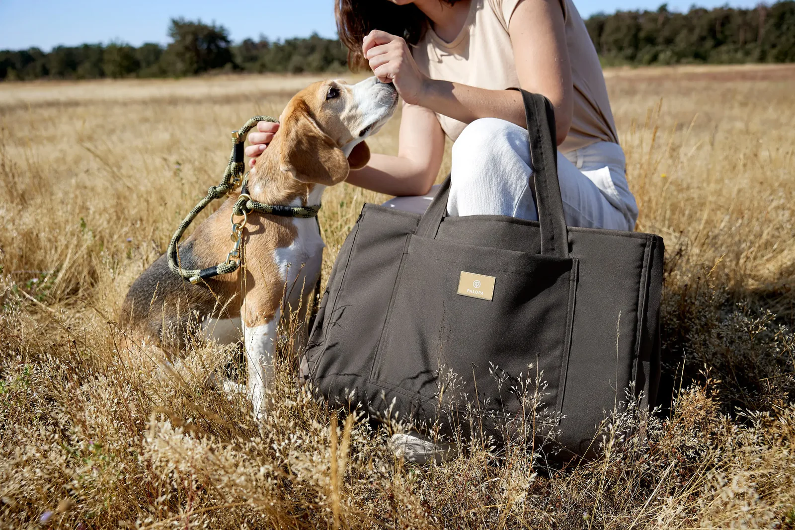 Τσάντα για χαλάκι σκύλου - Nobo - Image 8