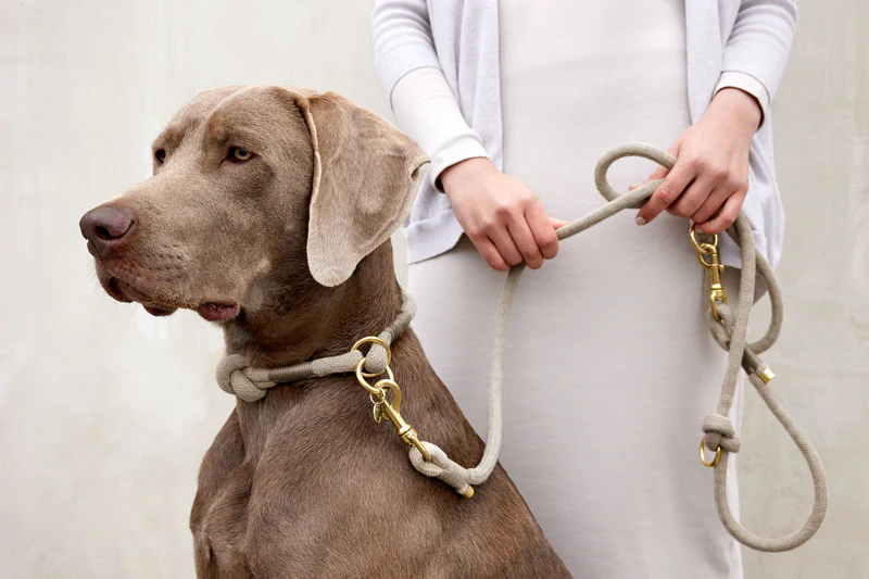 Πλεκτό Περιλαίμιο Σκύλου - Mila, Natural - Image 3