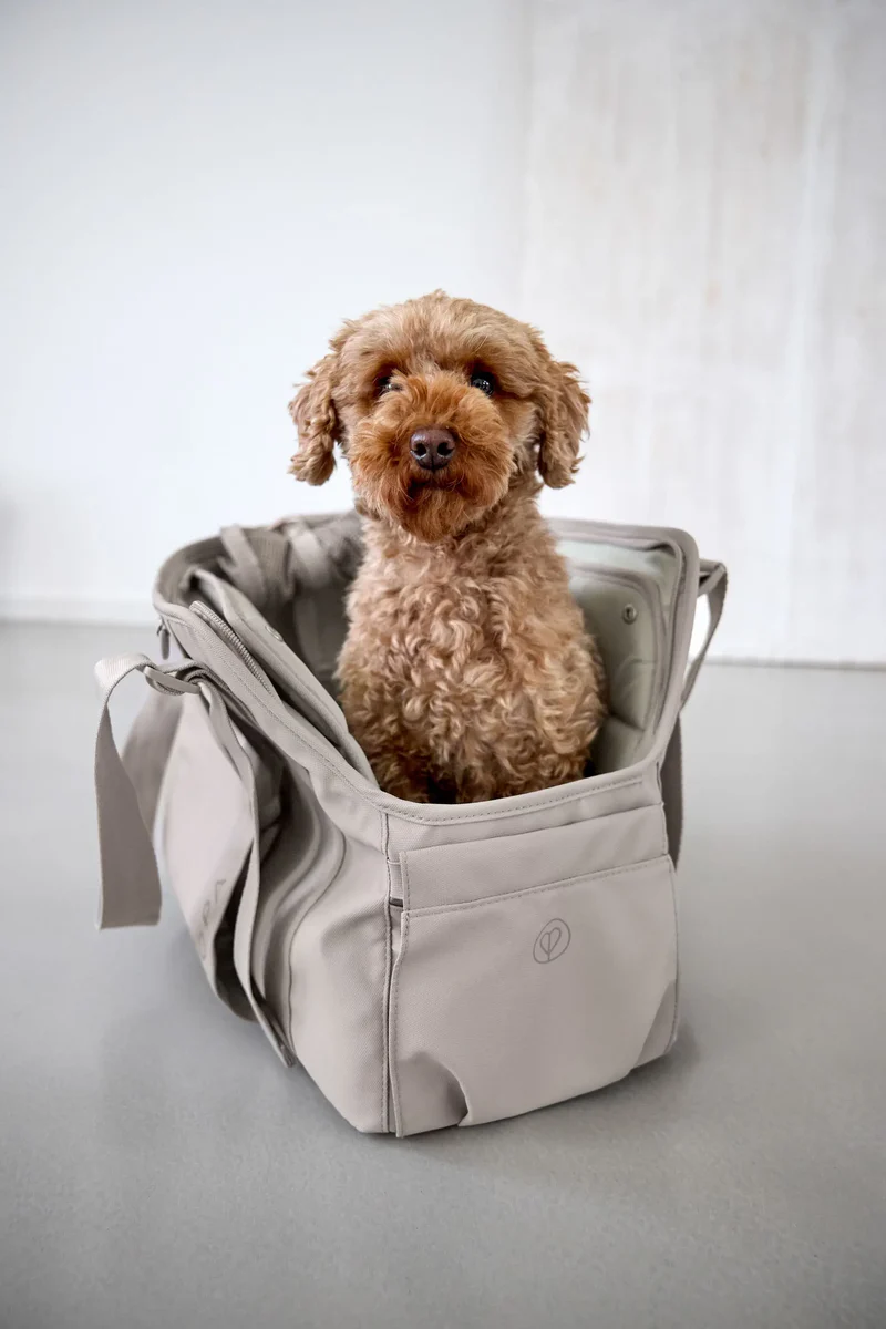 Τσάντα μεταφοράς σκύλου - Weda - Image 4